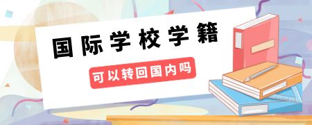 读了国际化学校学籍可以转回国内吗？