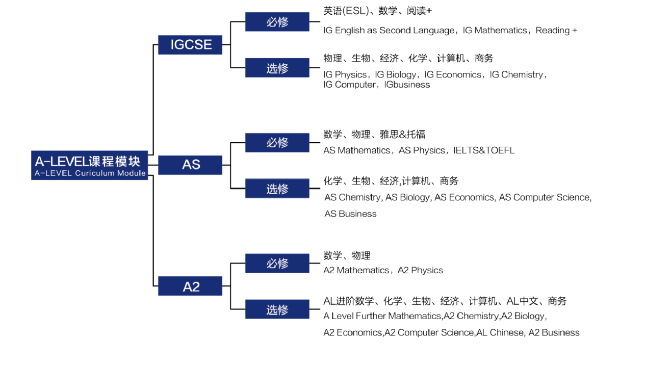 A-level課程模塊