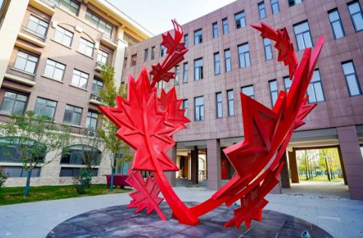 西咸新区空港枫叶学校照片