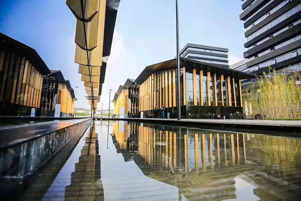 致极学院校园一景