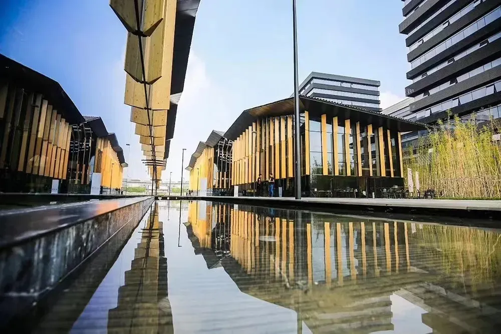 致极学院