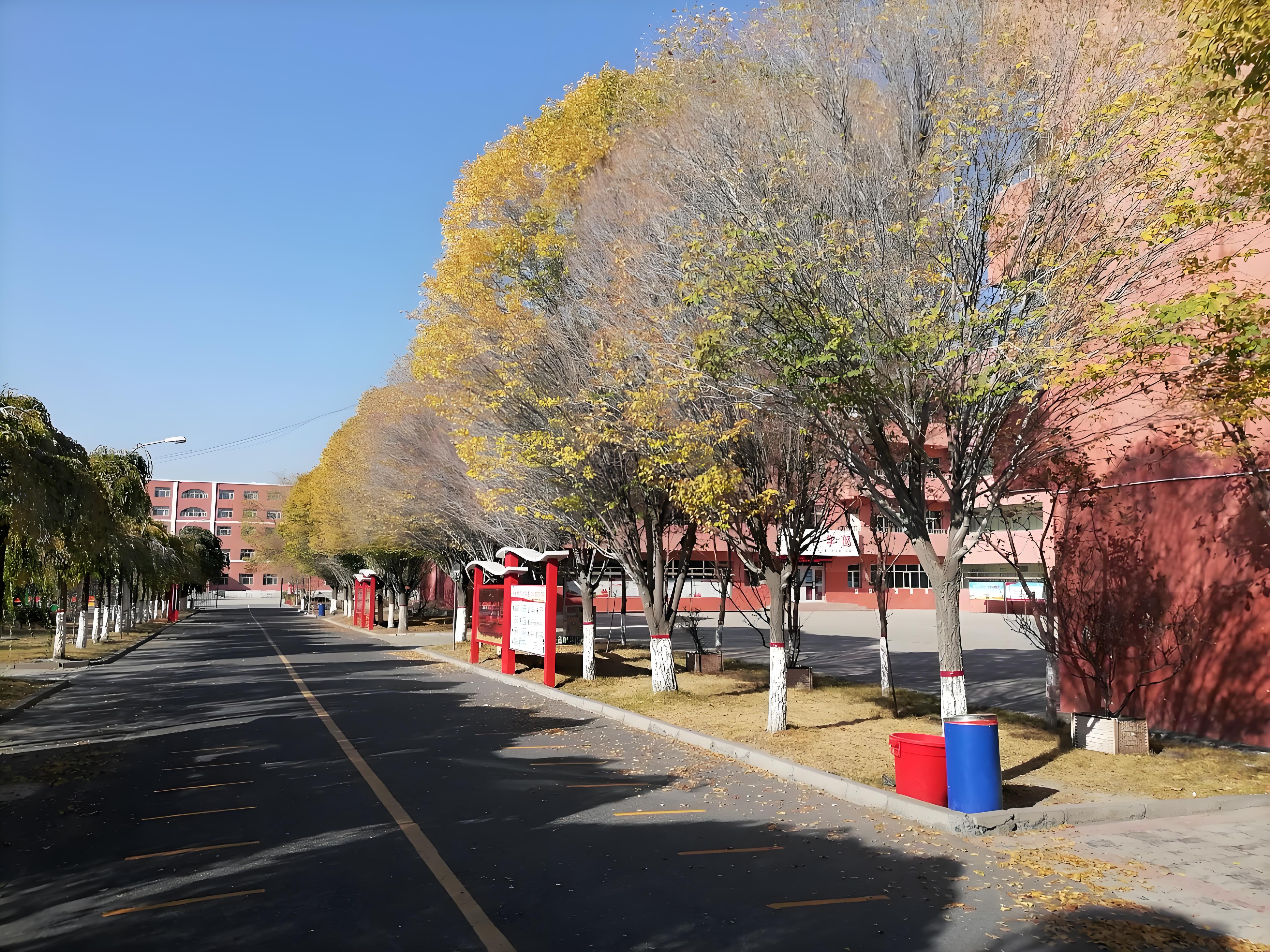 新疆众志国际学校绿化