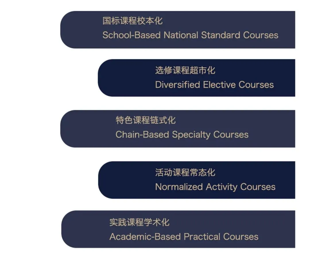 丰富的课程