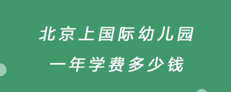 北京上国际幼儿园一年学费多少钱？