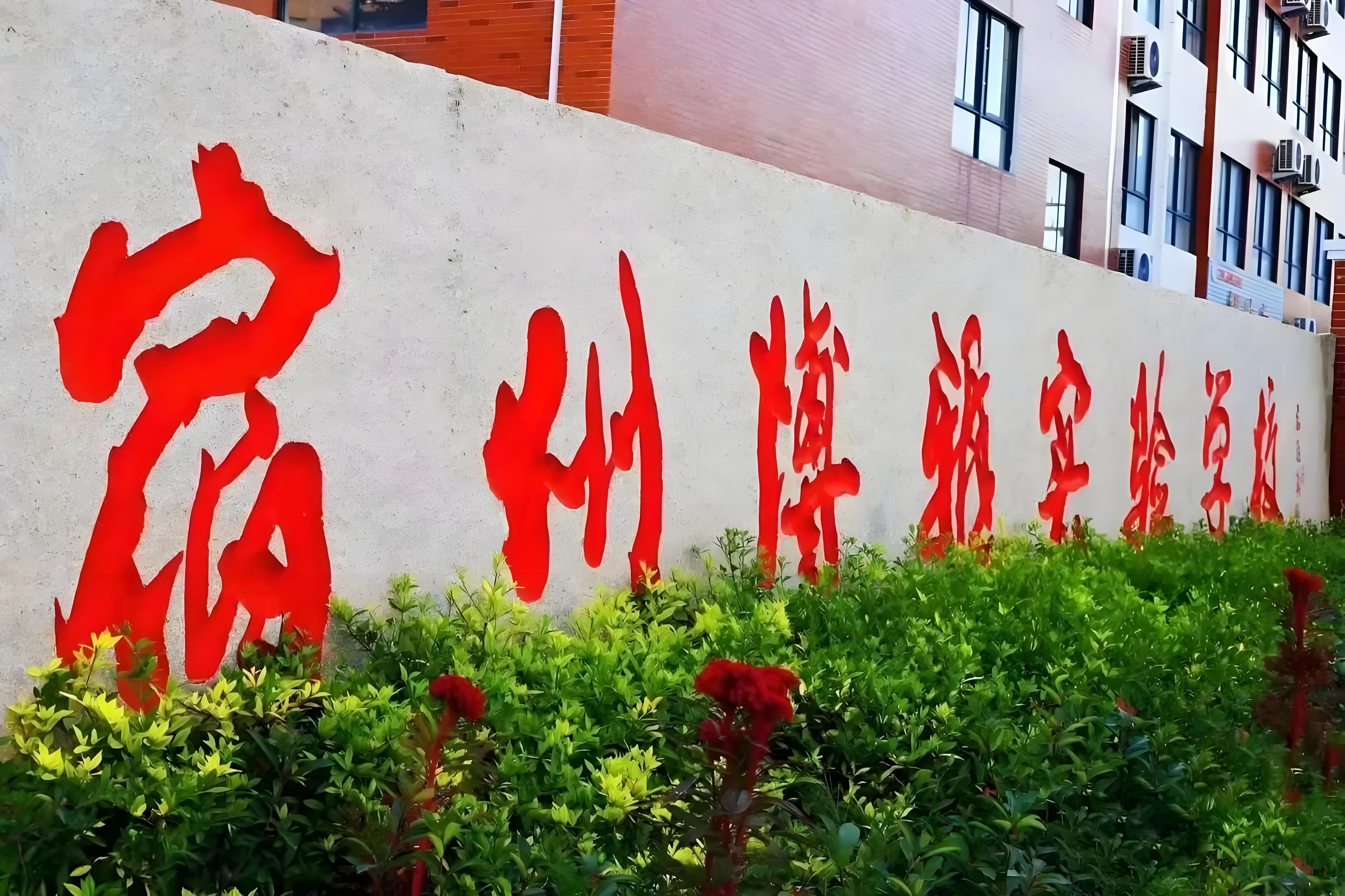 宿州市埇桥区博雅学校