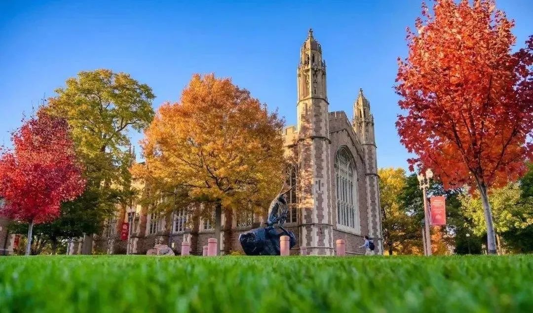 圣路易斯华盛顿大学