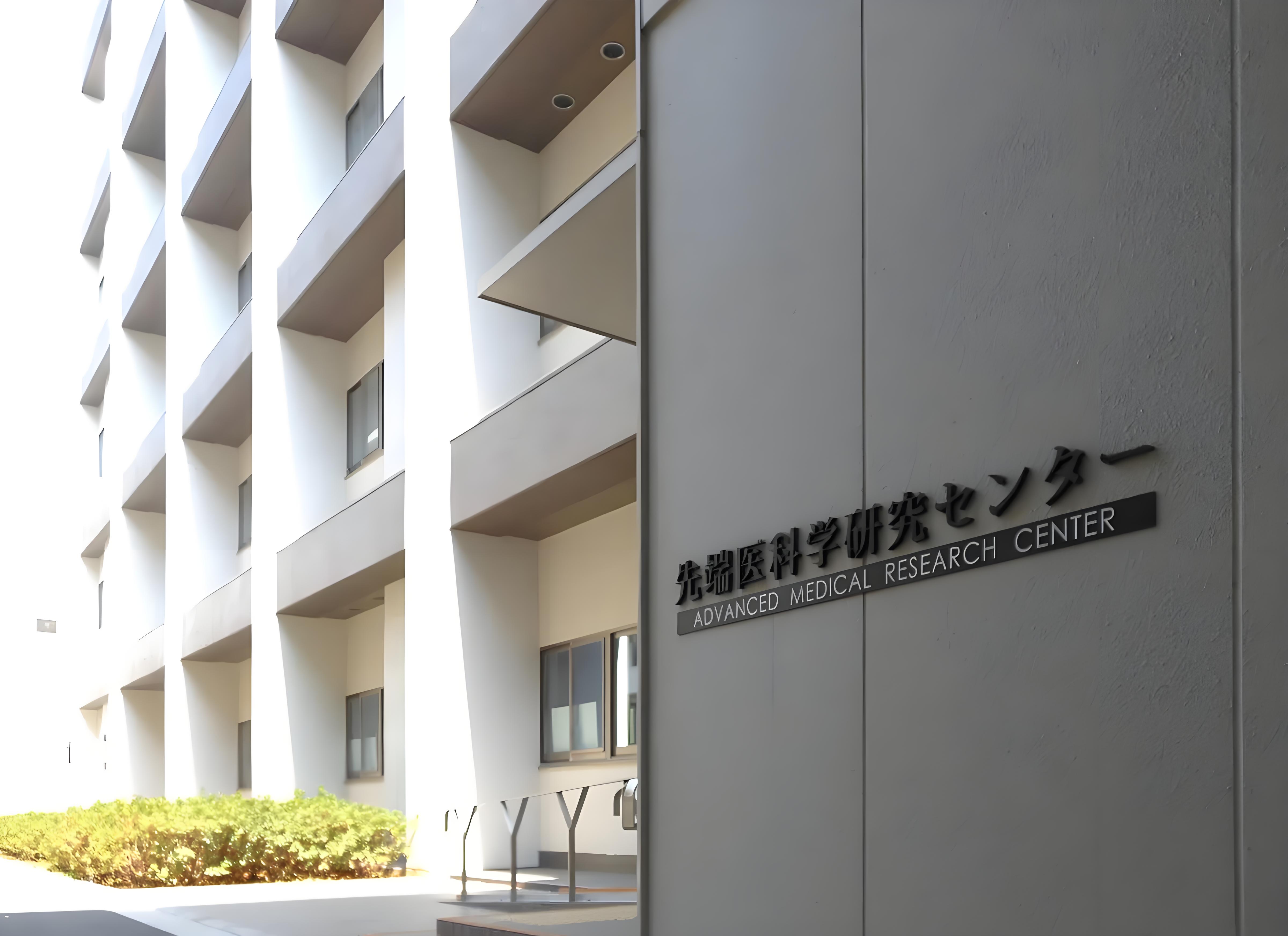 横滨国际学校