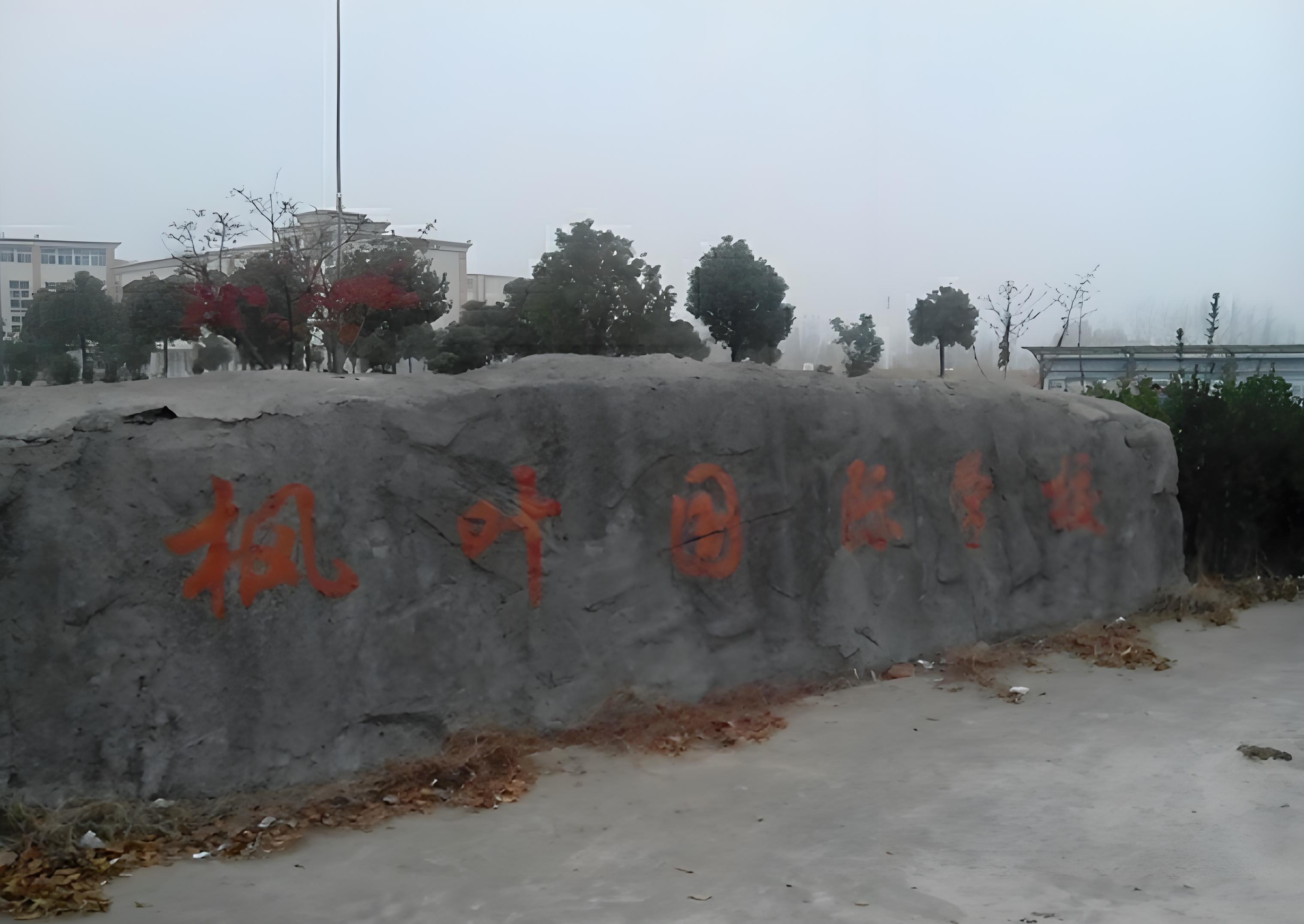 金湖枫叶国际学校