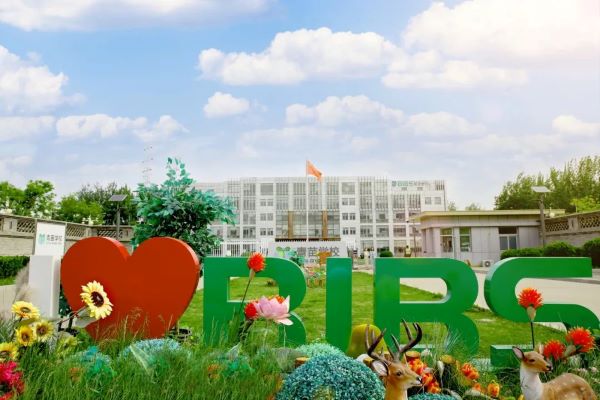 北京青苗国际双语学校