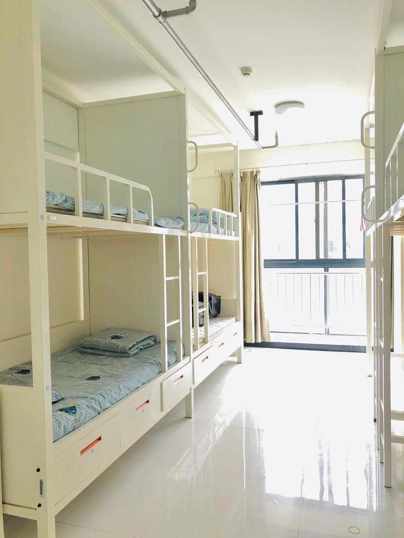 洛阳伊滨双语学校图片照片