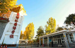 北京康福国际学校学费