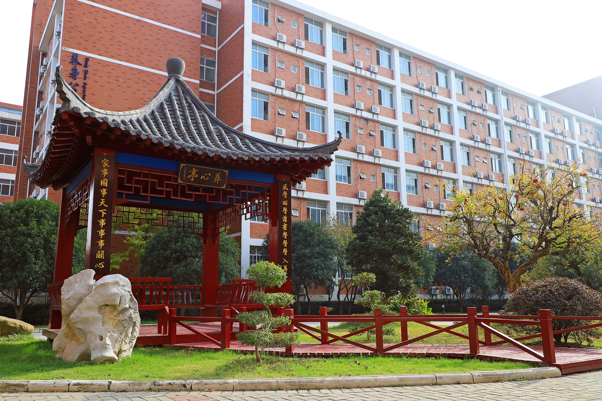 南京东山外国语学校国际部照片